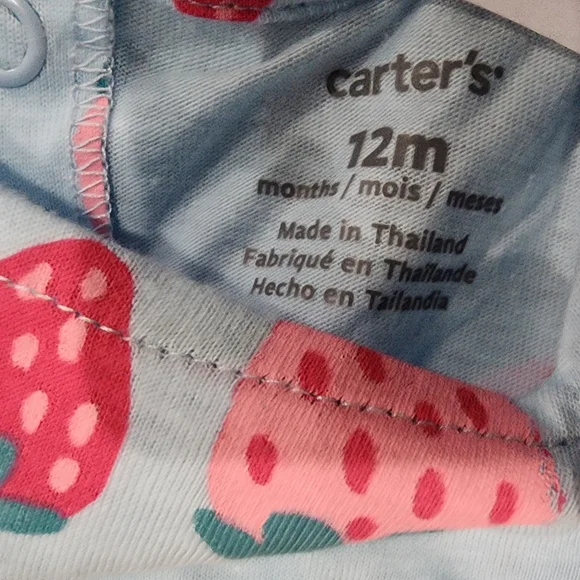 💜 Carter's 2 outfits, strawberry print, and pink gingham 9m or 12m - Picture 8 of 8